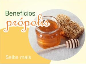 Read more about the article Própolis: excelente anti-inflamatório, antifúngico e antiviral